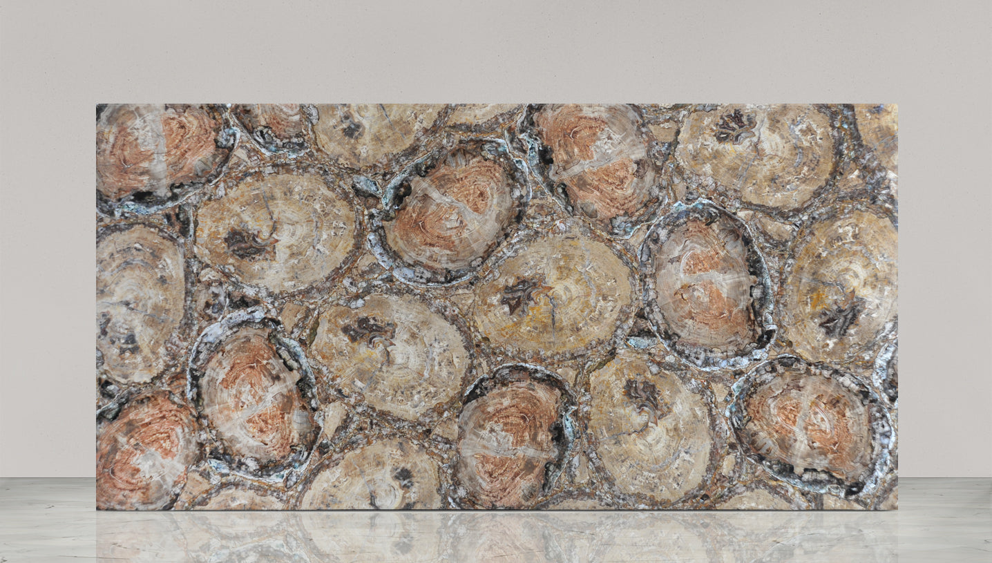 Petrified Wood Brown Classic